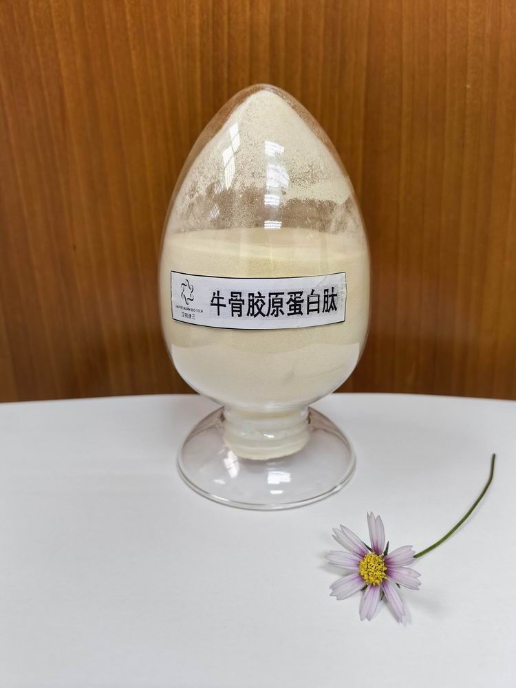 牛骨膠原蛋白肽